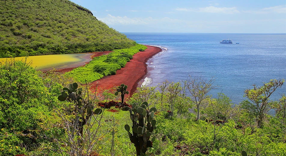 Panga-Bootsfahrt entlang der Küste der Insel Rabida