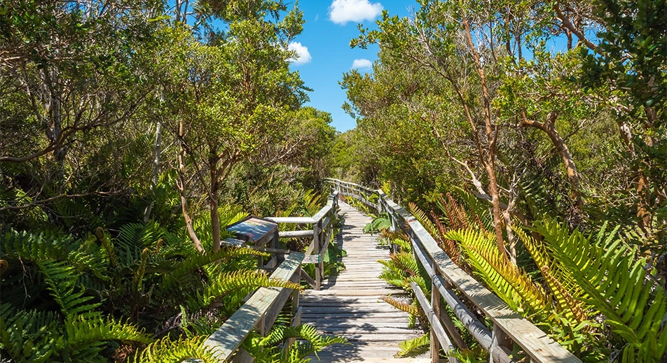 Hiking in Chiloé National Park