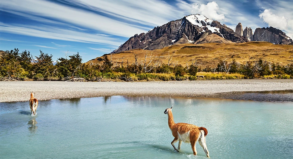 Hiking in Torres del Paine Park