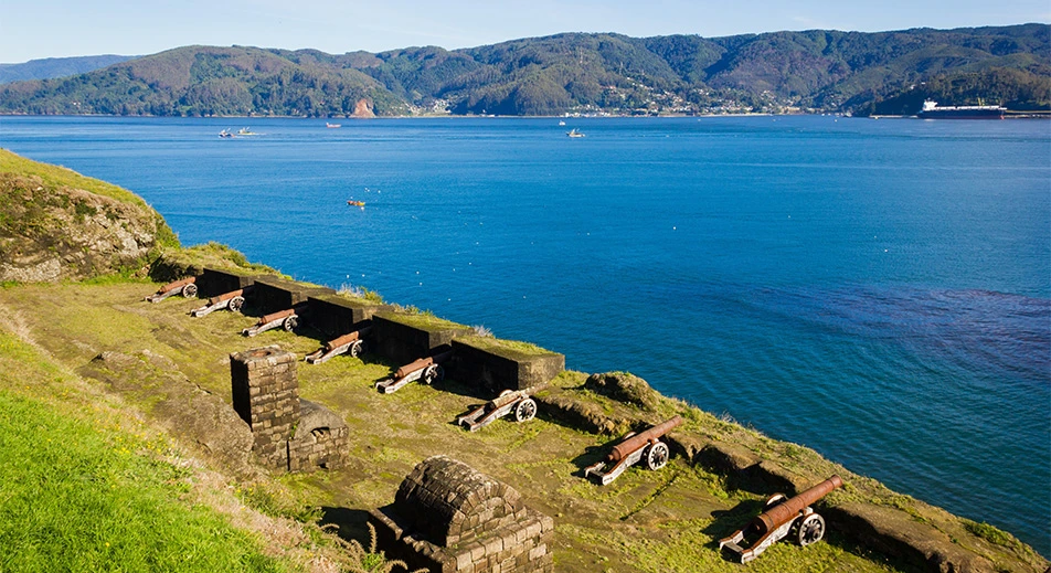 Highlights of Valdivia