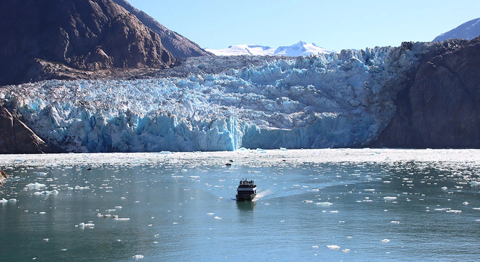 Excursion en bateau d’expédition à Tracy Arm