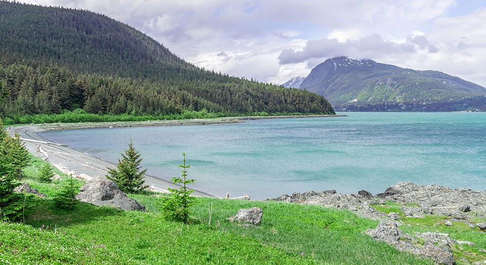 Randonnée côtière au Chilkat Inlet