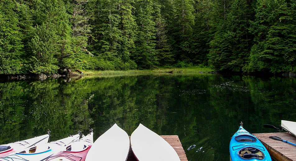 Avventura in kayak a Sitka