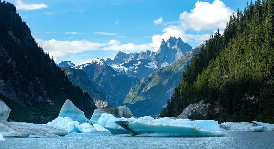 Wrangell - Estensioni selvagge del fiume Stikine e del lago glaciale selvaggio in jet boat
