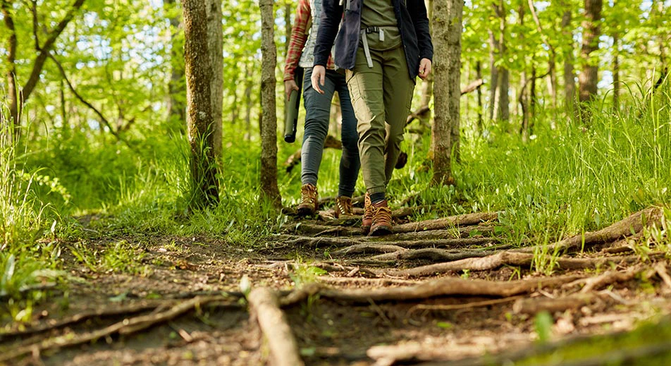 Wrangell - Passeggiata nella riserva naturale di Tongass