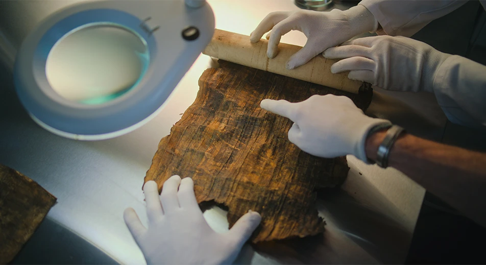 Visite d’un Institut du Papyrus