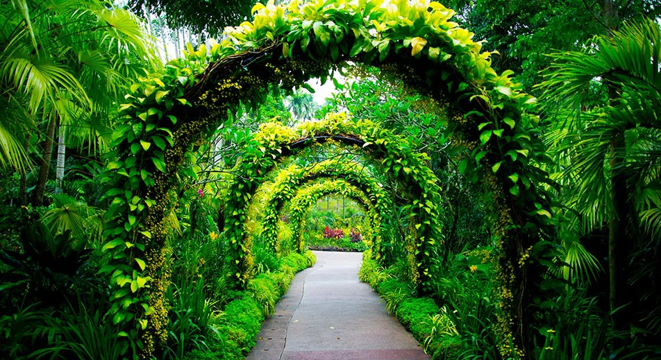 Les jardins botaniques de Singapour