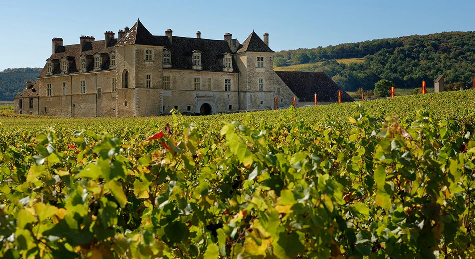Excursion de la route des grands crus de Bourgogne