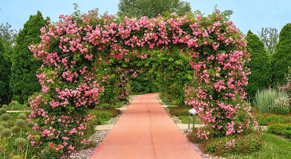 Excursion dans les jardins de Tulln