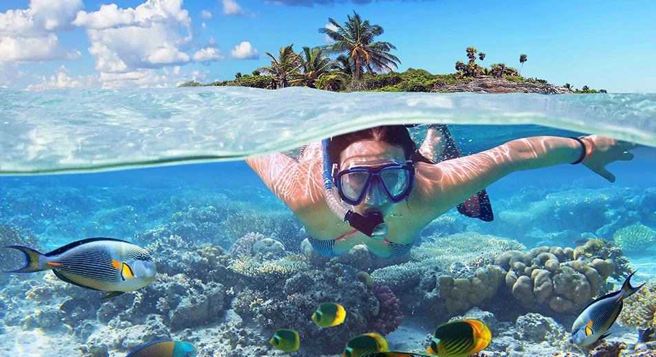 Activités nautiques