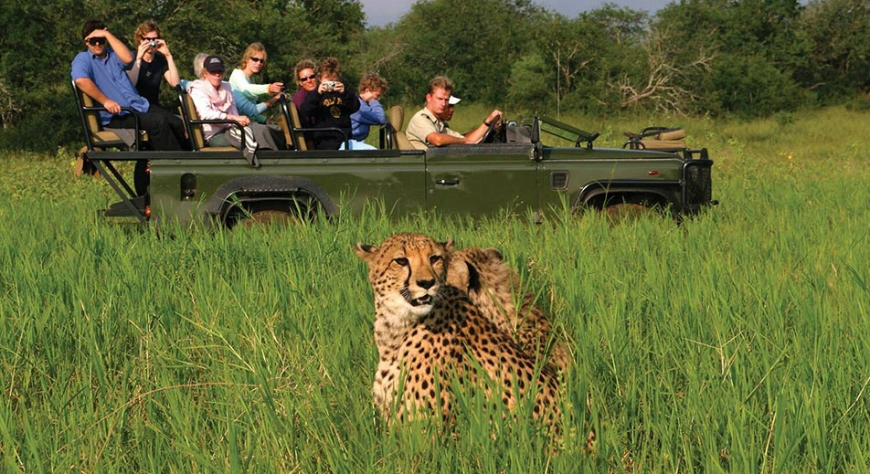 Safari dans le parc national de Chobe en véhicule 4x4 décapotable