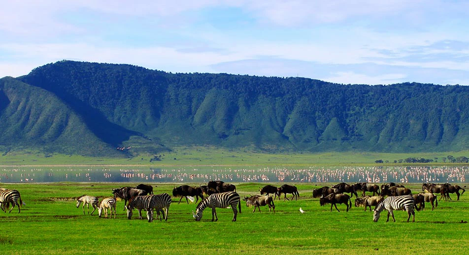 Exploration du Cratère du Ngorongoro