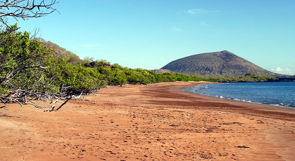 Découverte de la plage d'Espumilla