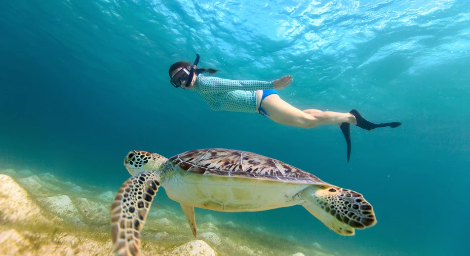 Snorkeling