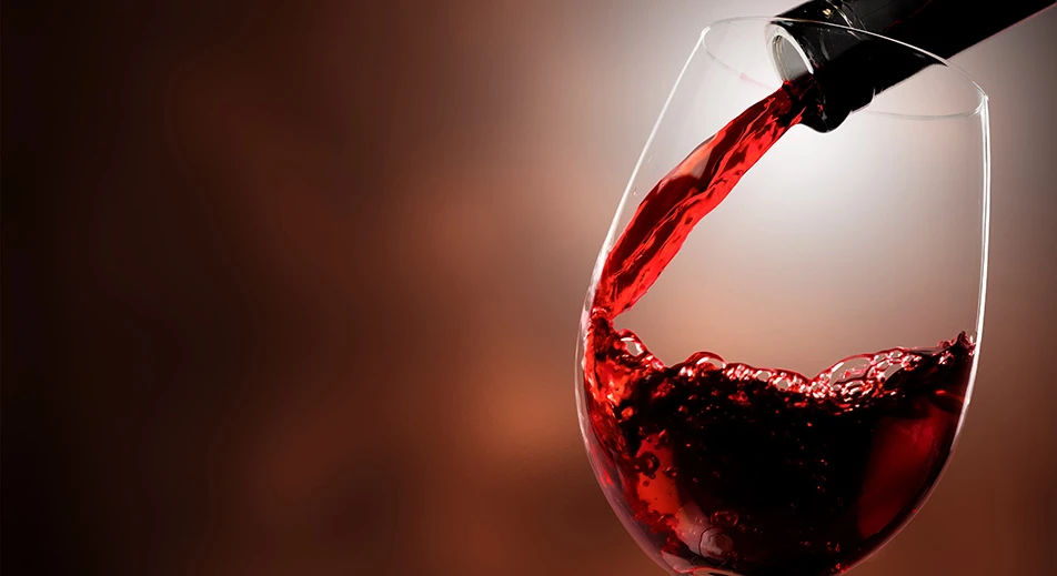 Dégustation de vin à Szekszárd