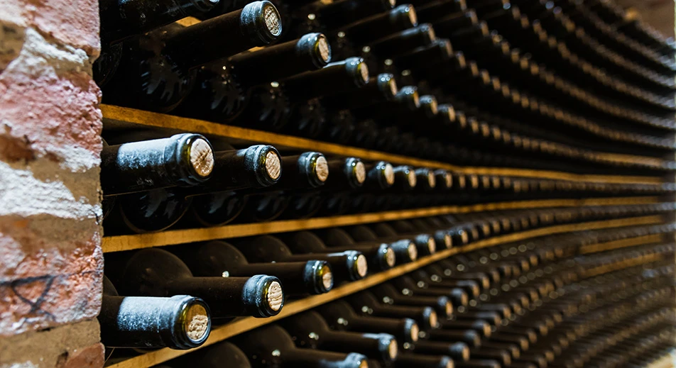 Dégustation de vin au Podrum Panajotovic