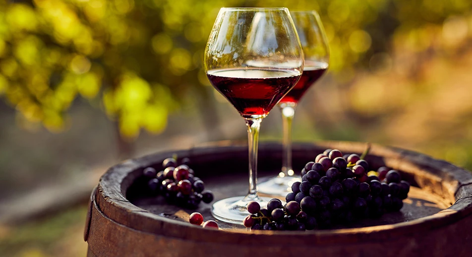 Dégustation de vin à Leventa