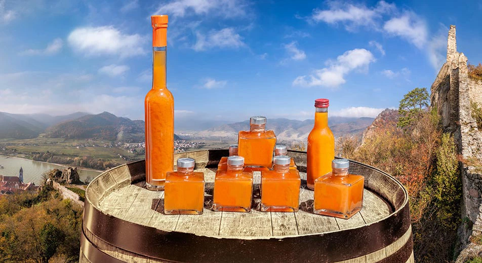 Excursion à Dürnstein avec dégustation de vins et d'abricots