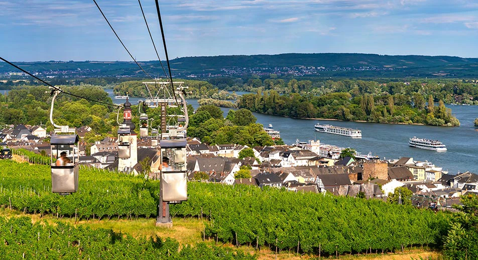 Promenade en gondole et dégustation de vin