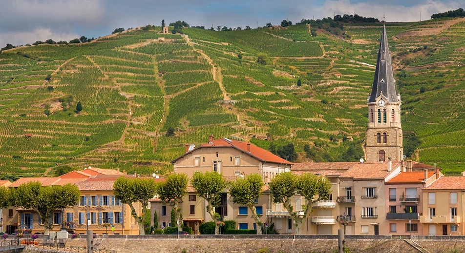 Dégustation de vin Hermitage