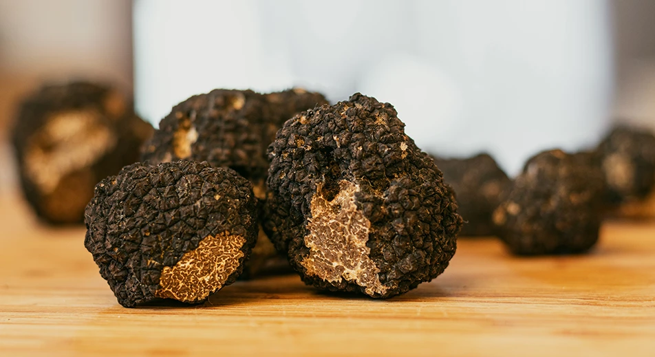 Visite de la ferme de truffes de Grignan