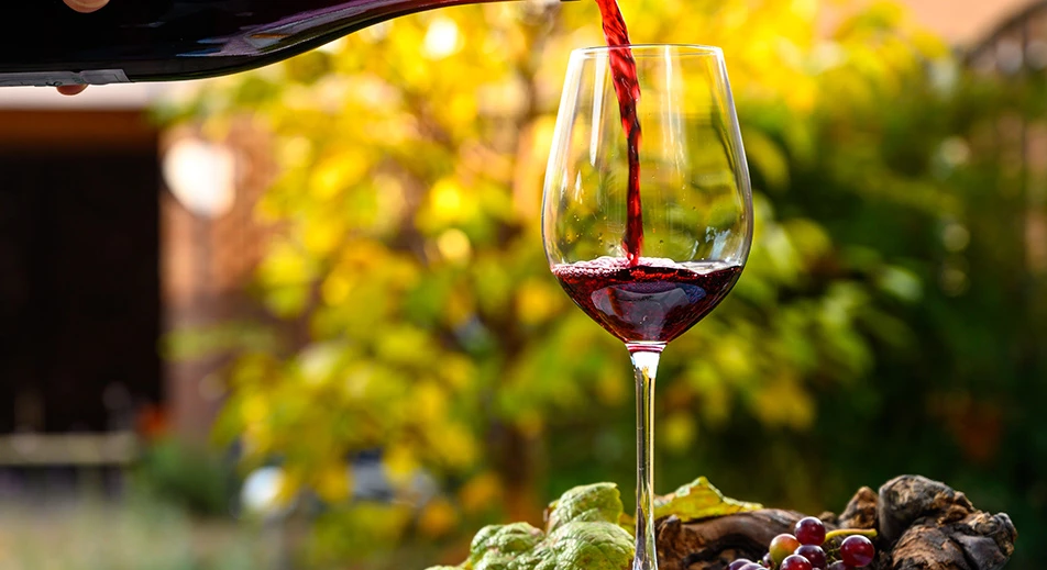 Weinverkostung im Beaujolais