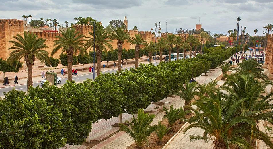 Excursion au sud marocain : Taroudant, l’authentique et la palmeraie de Tiout