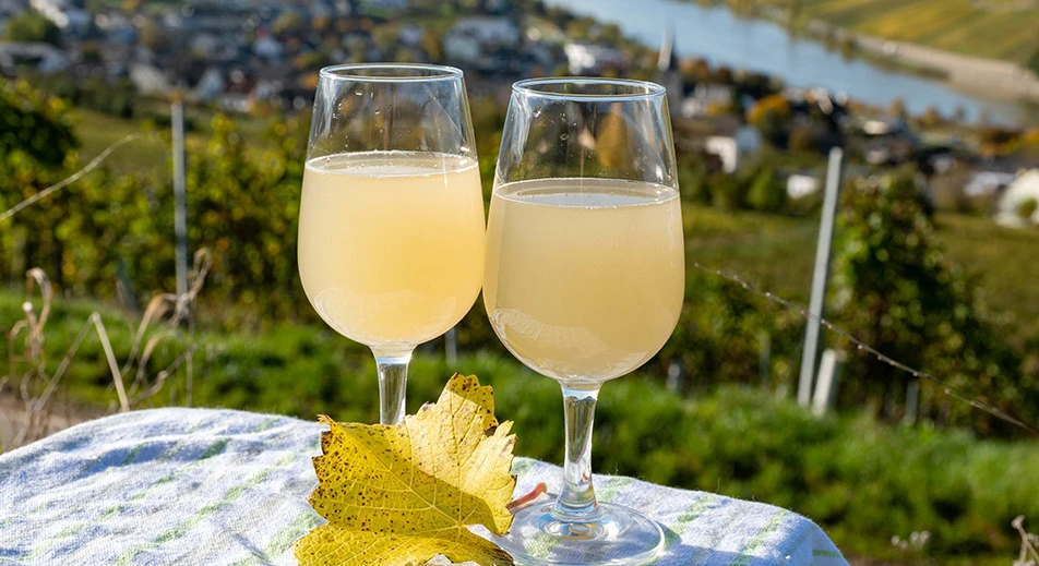 Dégustation de vins du Luxembourg