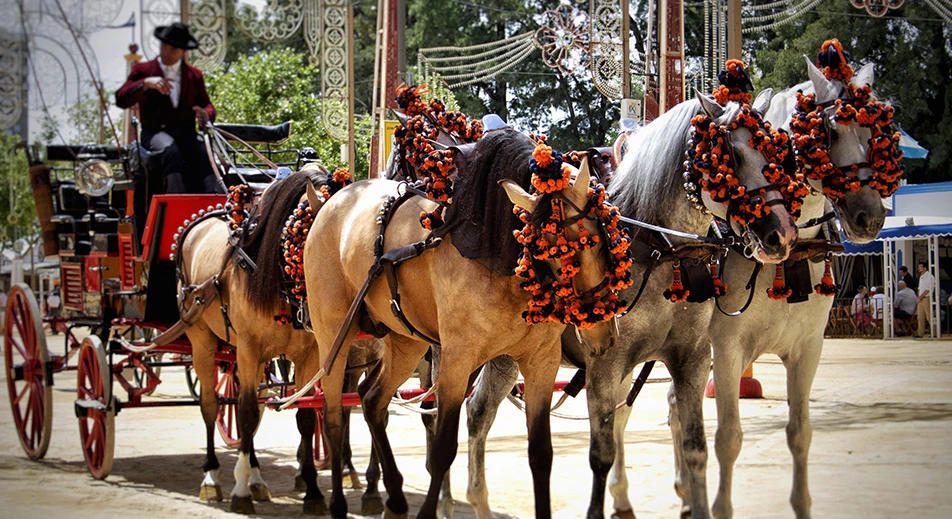 Entdeckung der einzigartigen andalusischen Traditionen im Herzen der Feria von Sevilla