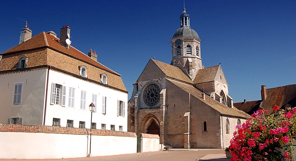 Visite à pied de Seurre