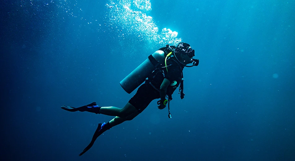 Plongée sous marine