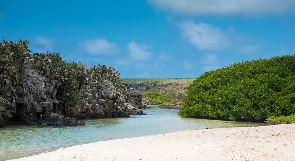 Exploration de l'île Genovesa