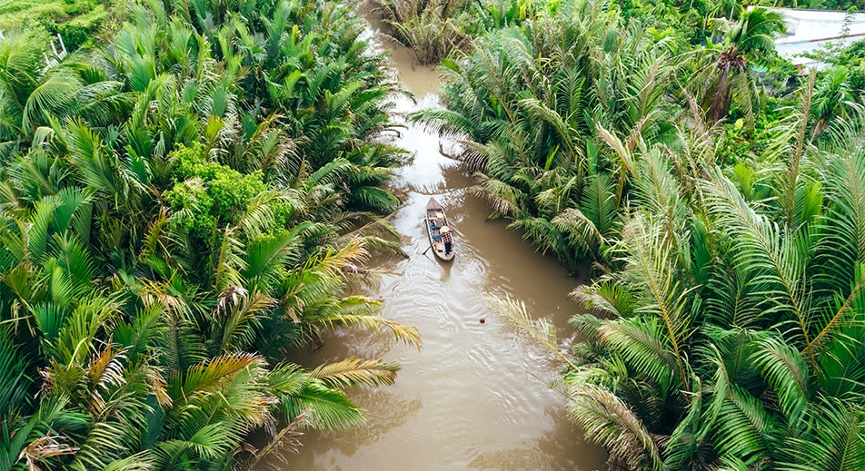 Tour sur un sampan à rames