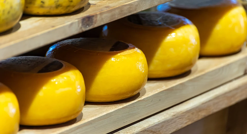 Moulins à vent de Kinderdijk et fabrication de fromage hollandais