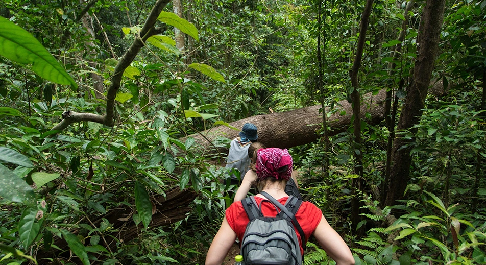 Jungle trek with a local healer
