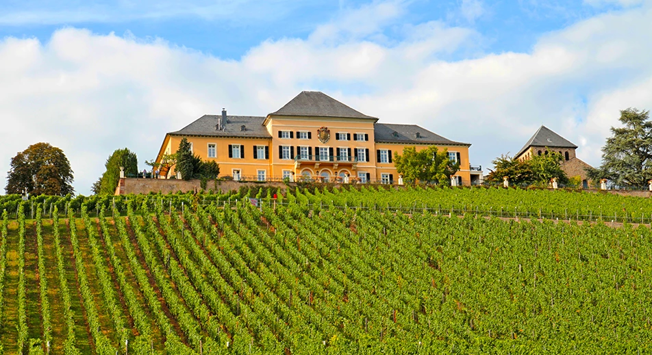 Dégustation de vins et dîner au domaine Schloss Johannisberg