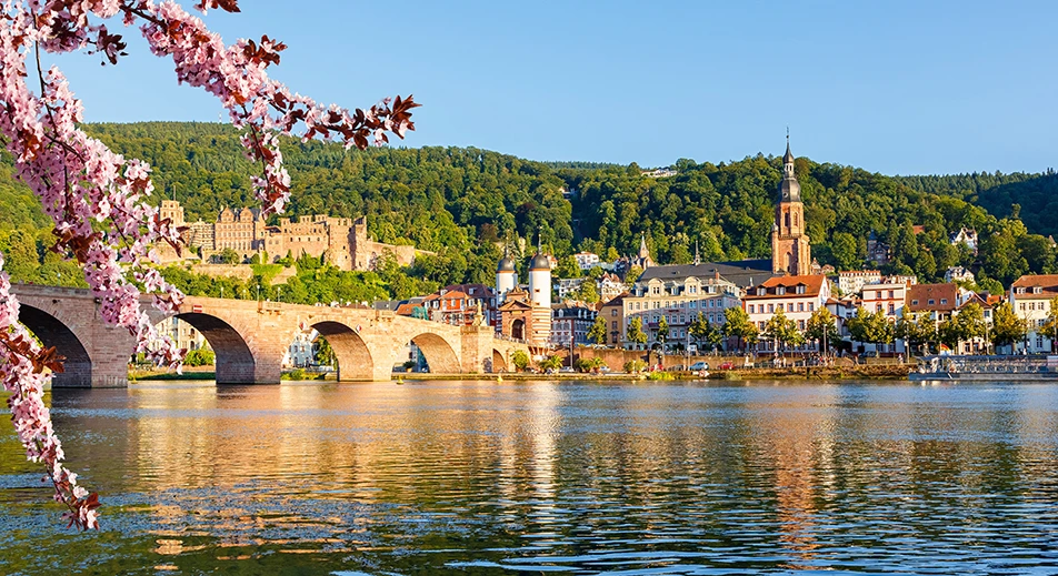 Heidelberg panoramique et déjeuner avec des étudiants universitaires