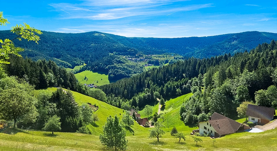 La Forêt-Noire
