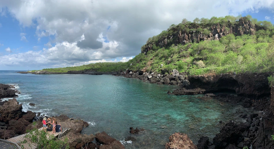 Visite de la Baie de Darwin