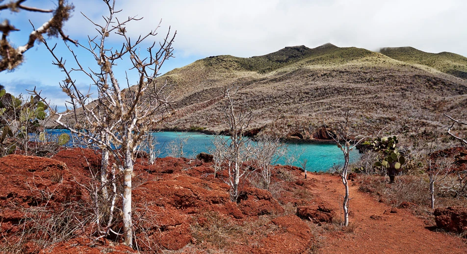 Exploration de l'île Rabida