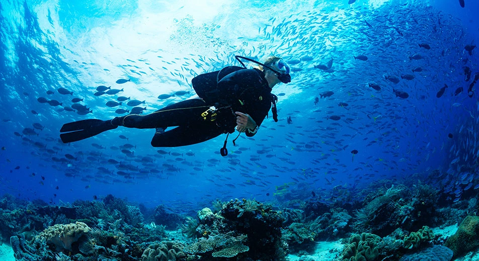 Plongée sous-marine à Kas