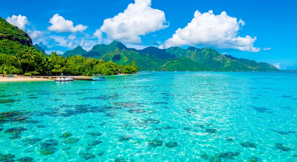 Moorea : Découverte du Lagon