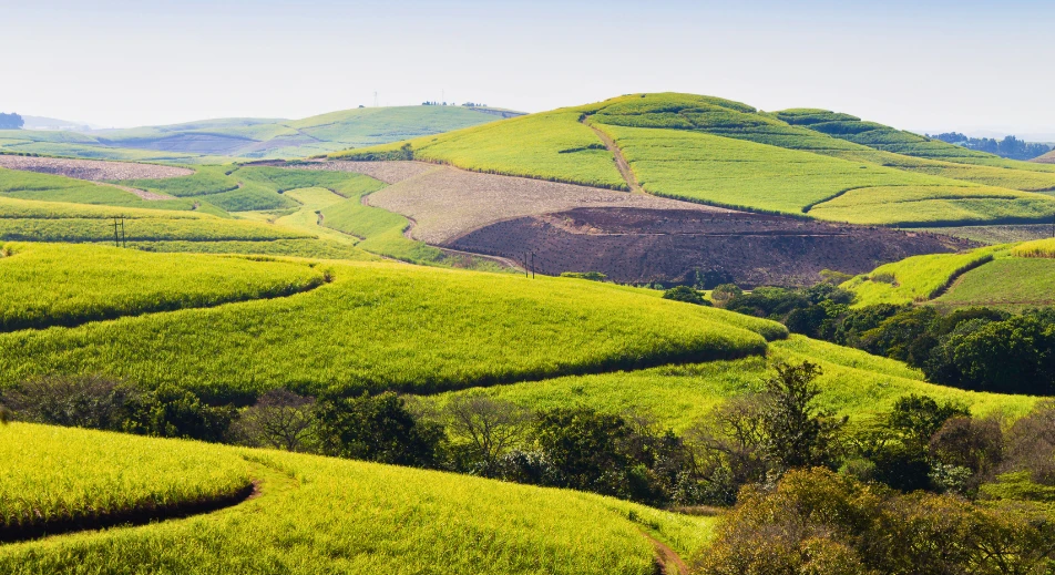 Visite de la vallée des 1000 collines
