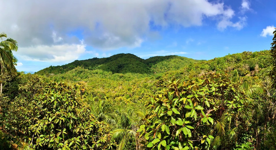 Visite de la vallée de Mai
