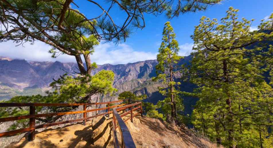 Excursion au parc national Taburiente