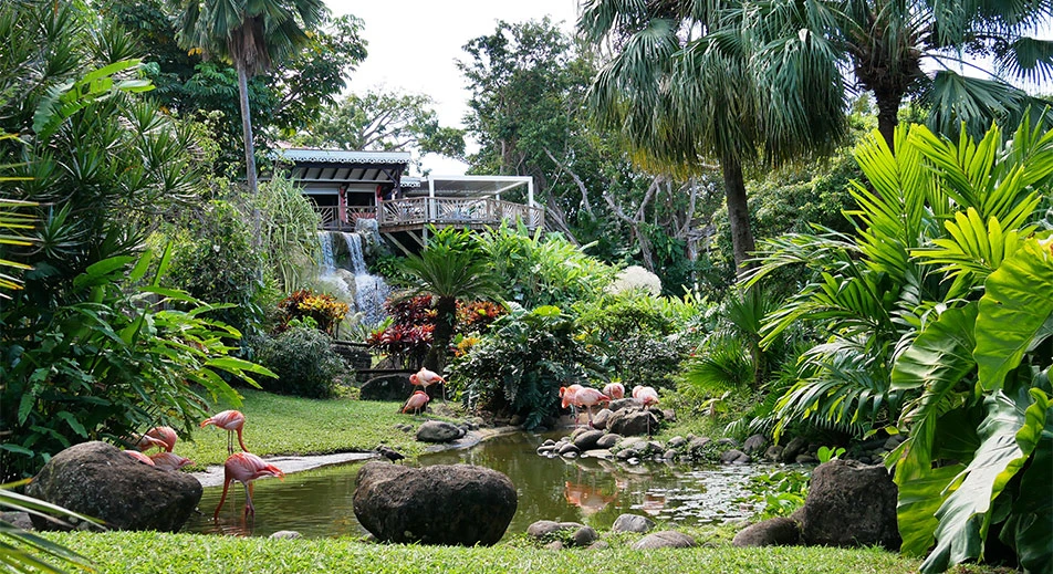 Visite du jardin botanique