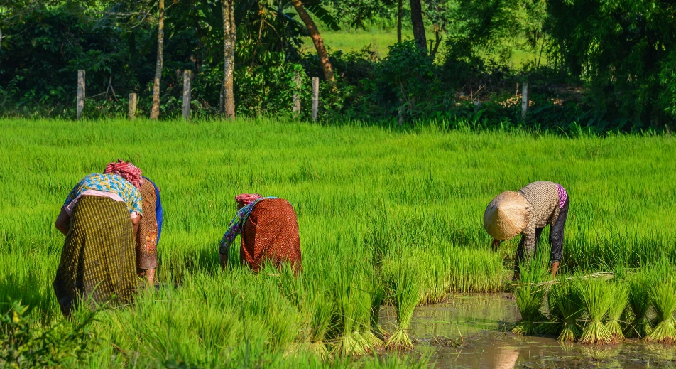 Visita a un tipico villaggio agricolo nel Delta del Mekong